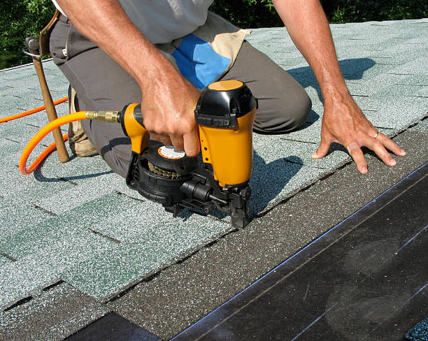 Best Roof Gutter Cleaning  in Little Canada, MN