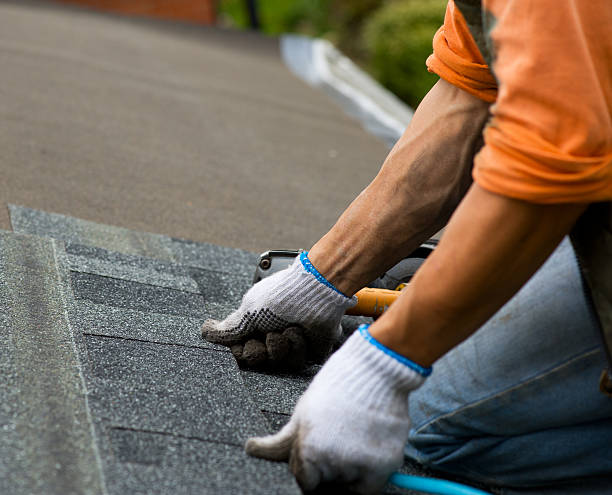 Best Flat Roof Repair Services  in Little Canada, MN