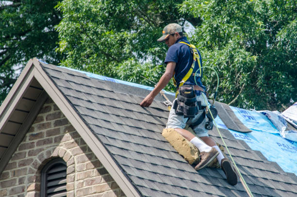 Best Gutter Installation and Roofing  in Little Canada, MN